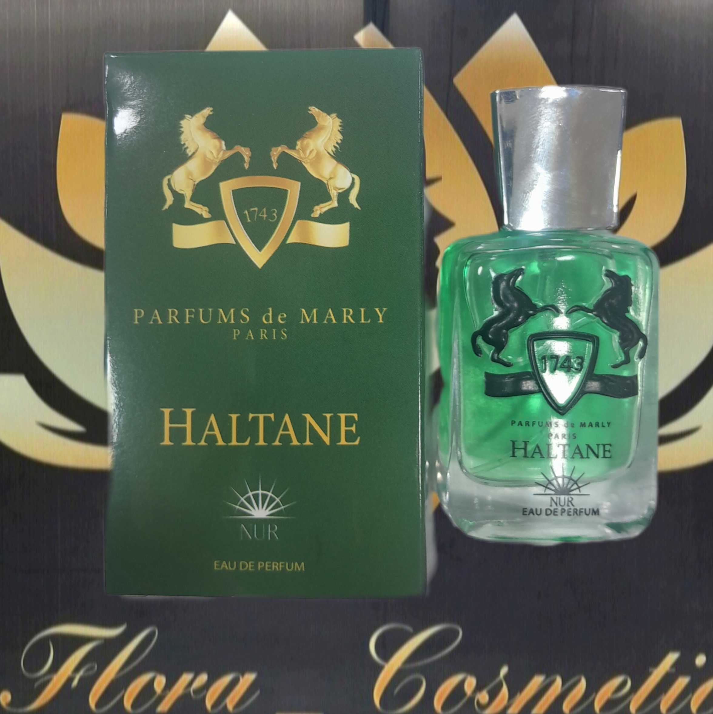 مینی ادکلن مردانه نور مدل هالتان haltane با حجم ( 25 میل )